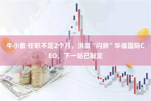 牛小散 任职不足2个月，洪灏“闪辞”华福国际CEO，下一站已敲定