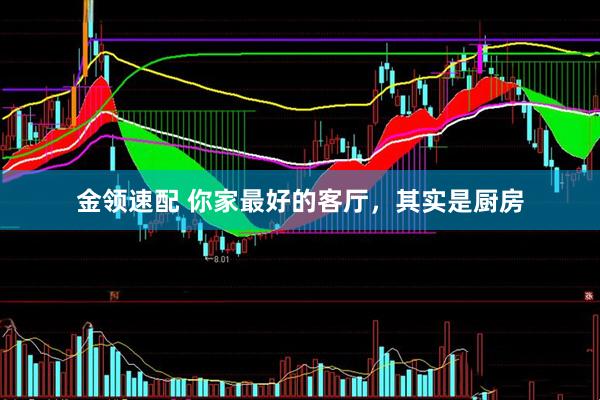 金领速配 你家最好的客厅，其实是厨房