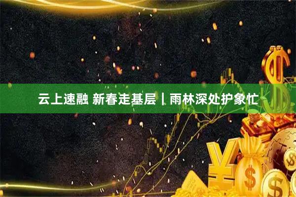 云上速融 新春走基层｜雨林深处护象忙