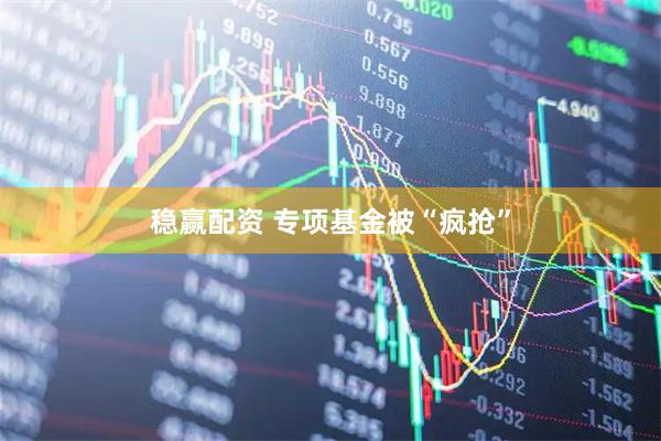 稳赢配资 专项基金被“疯抢”